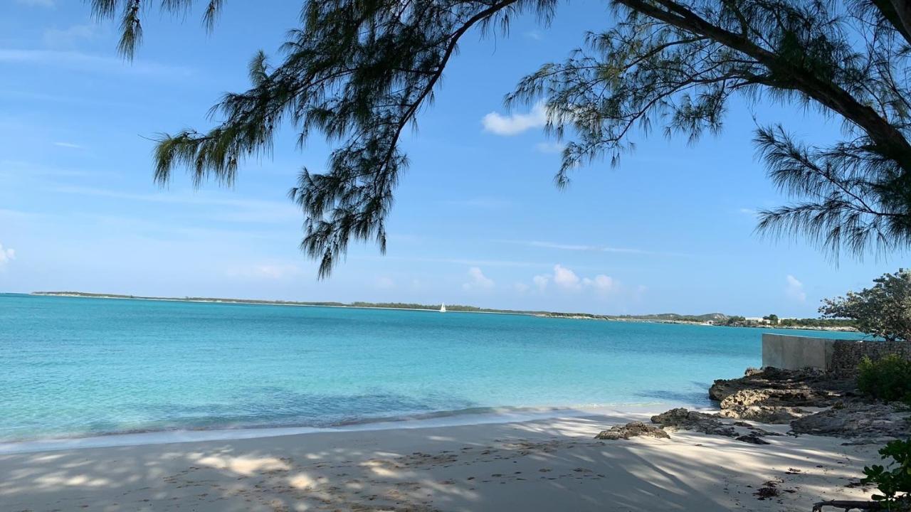 Turtles Nest Bahamas Apartment George Town Ngoại thất bức ảnh