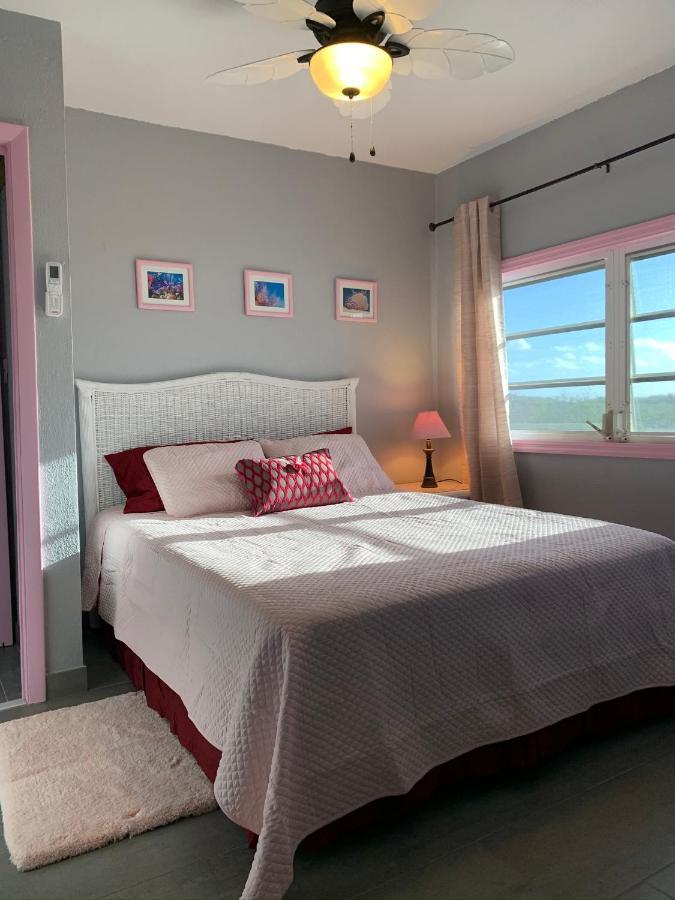 Turtles Nest Bahamas Apartment George Town Ngoại thất bức ảnh
