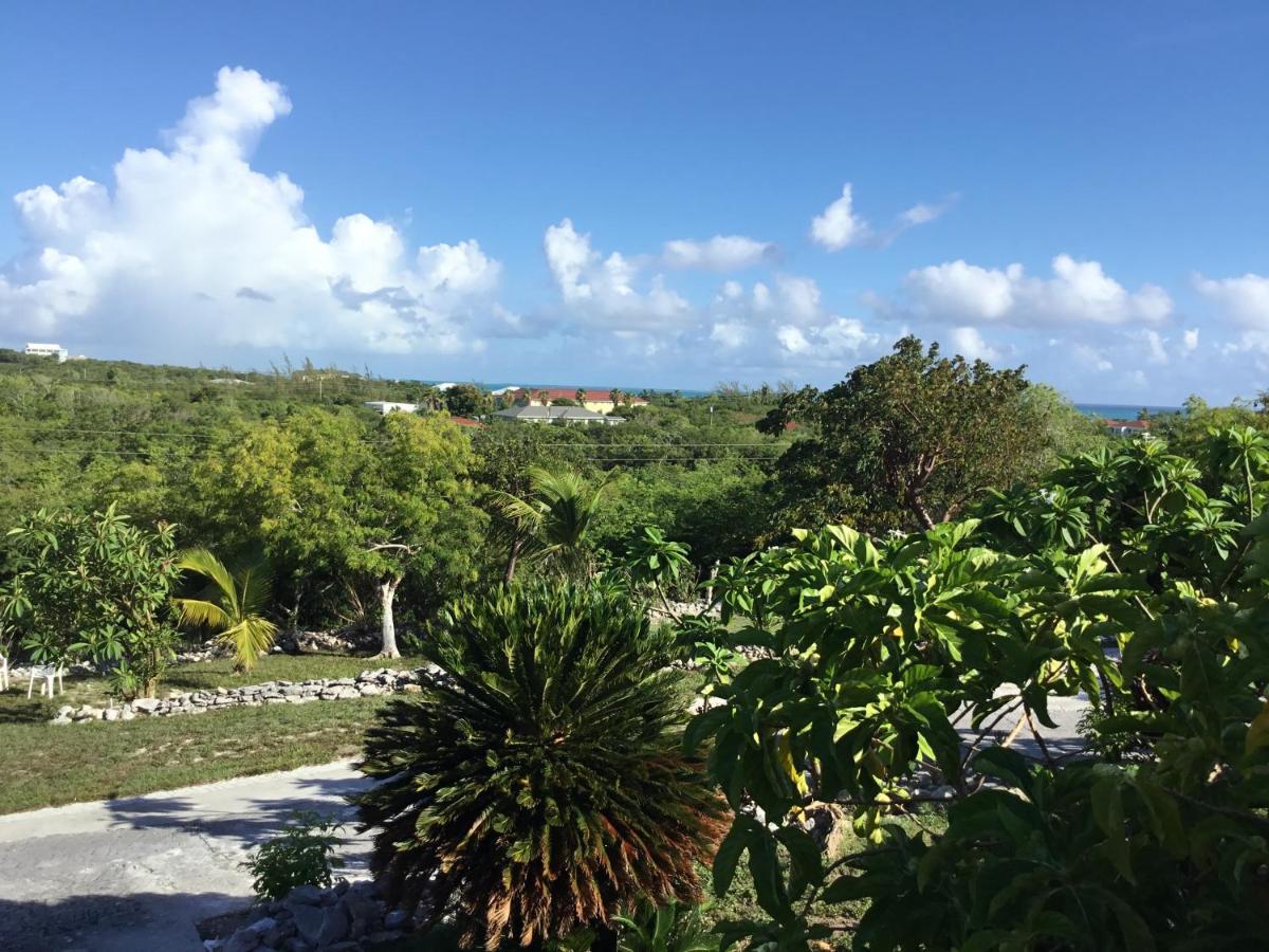 Turtles Nest Bahamas Apartment George Town Ngoại thất bức ảnh
