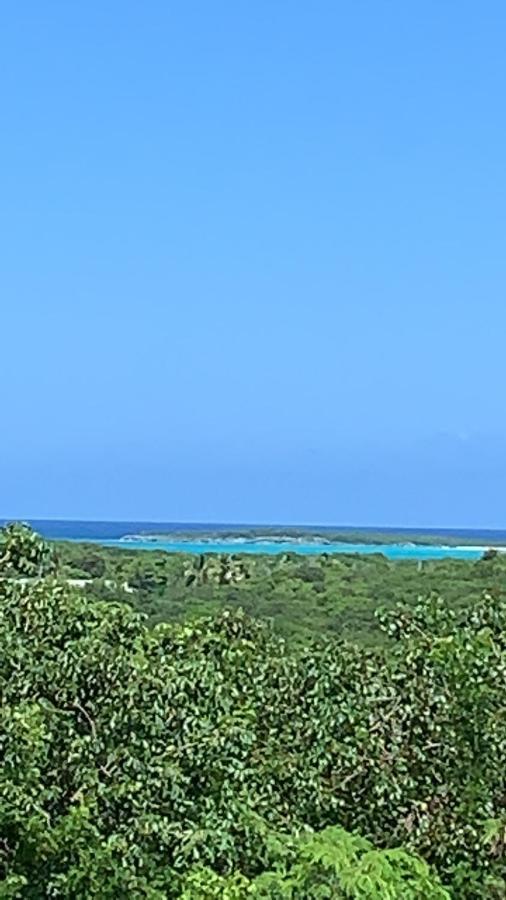 Turtles Nest Bahamas Apartment George Town Ngoại thất bức ảnh