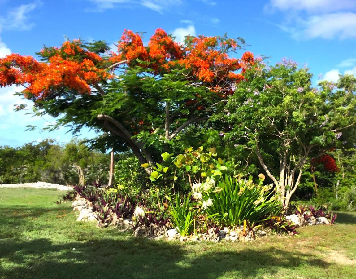 Turtles Nest Bahamas Apartment George Town Ngoại thất bức ảnh